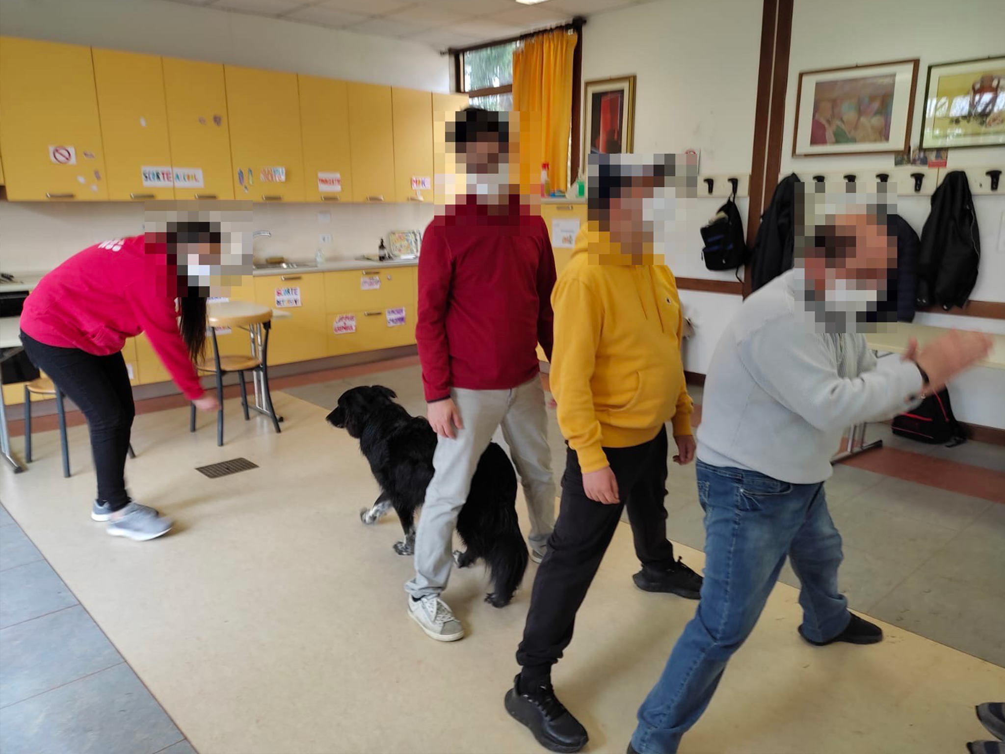 Pet Therapy - Varese