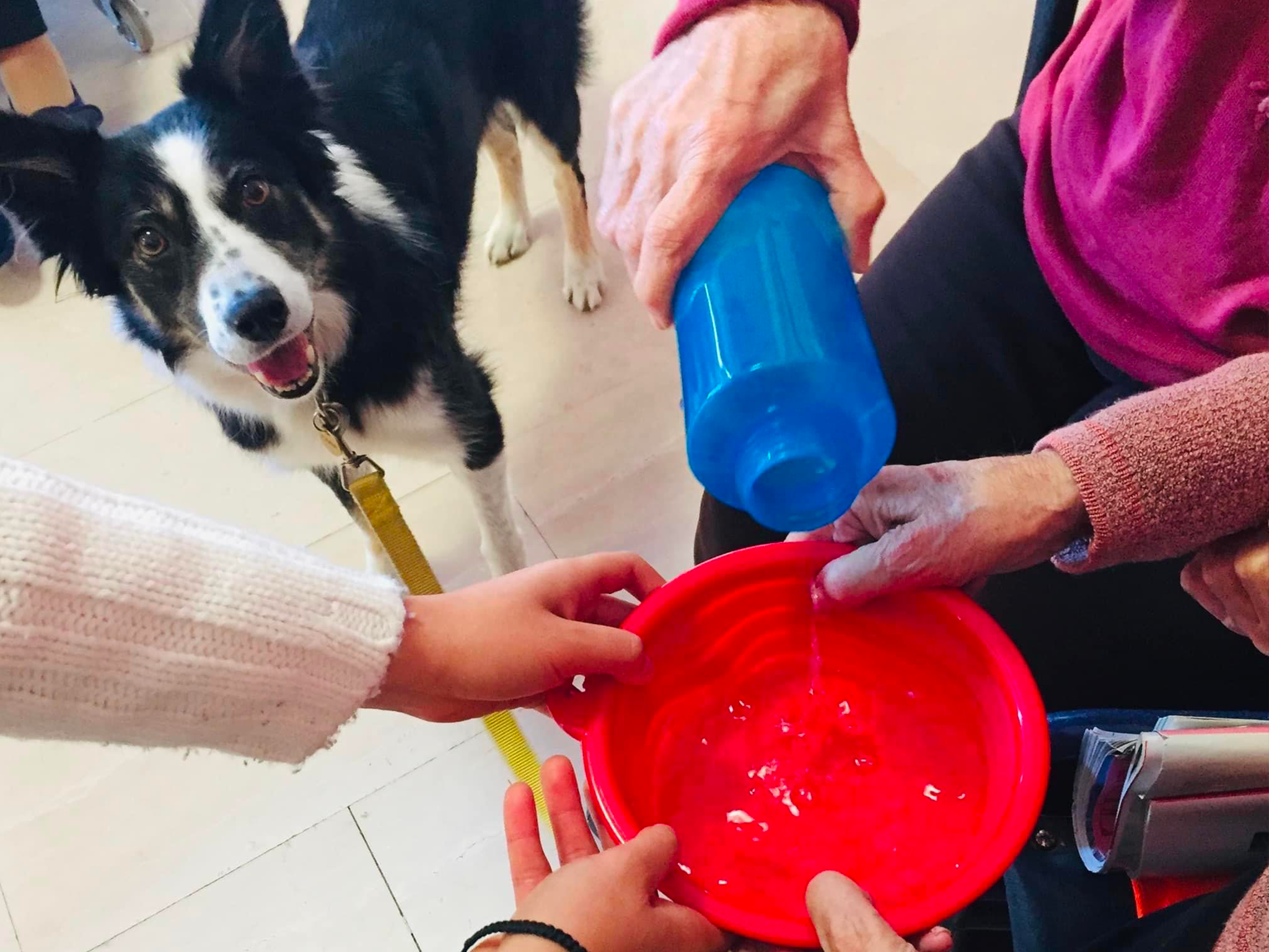 Pet Therapy e Alzaheimer - Varese