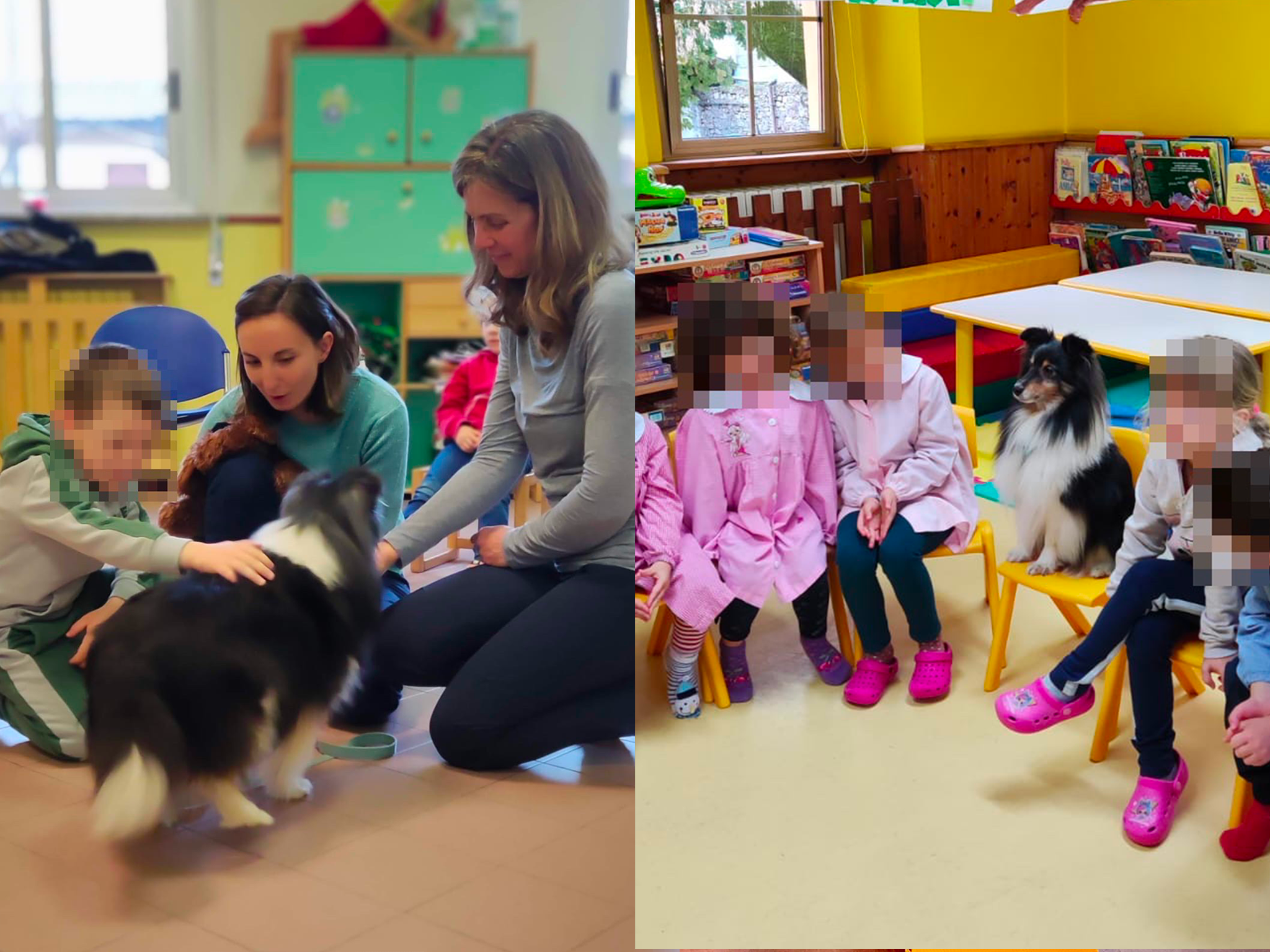 Pet Therapy in asilo