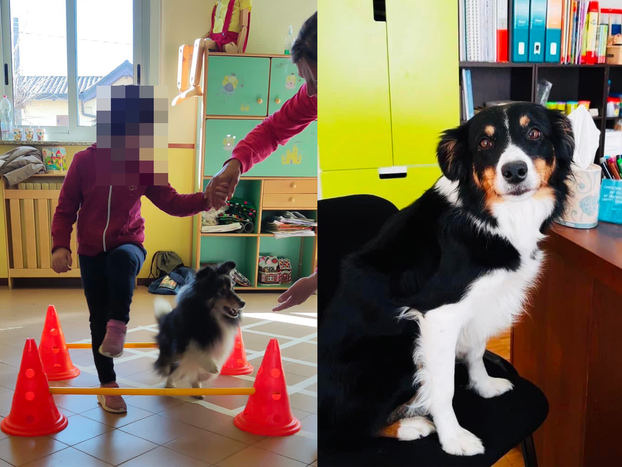 Pet Therapy e Alzaheimer