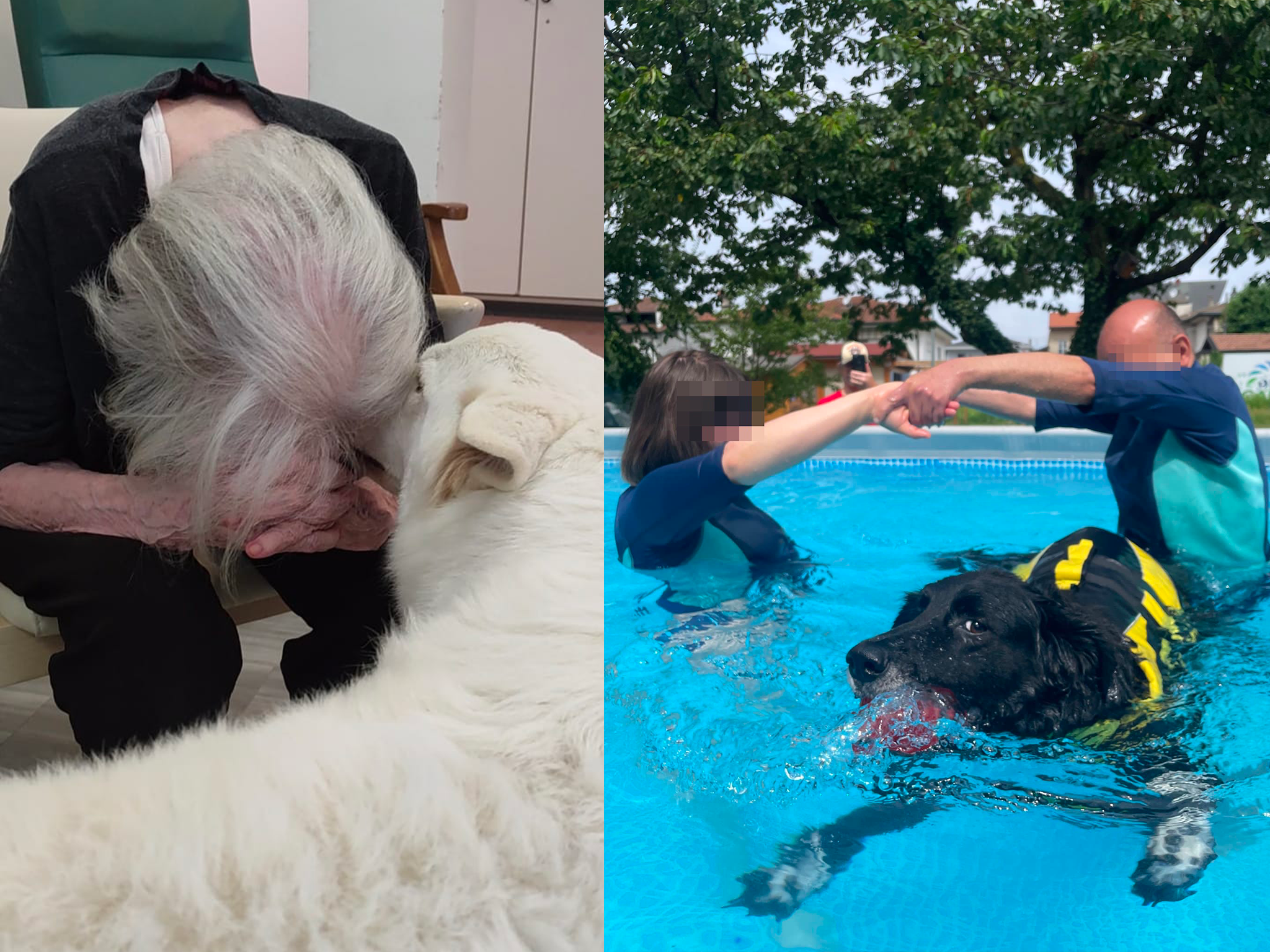 Pet Therapy e disabilità