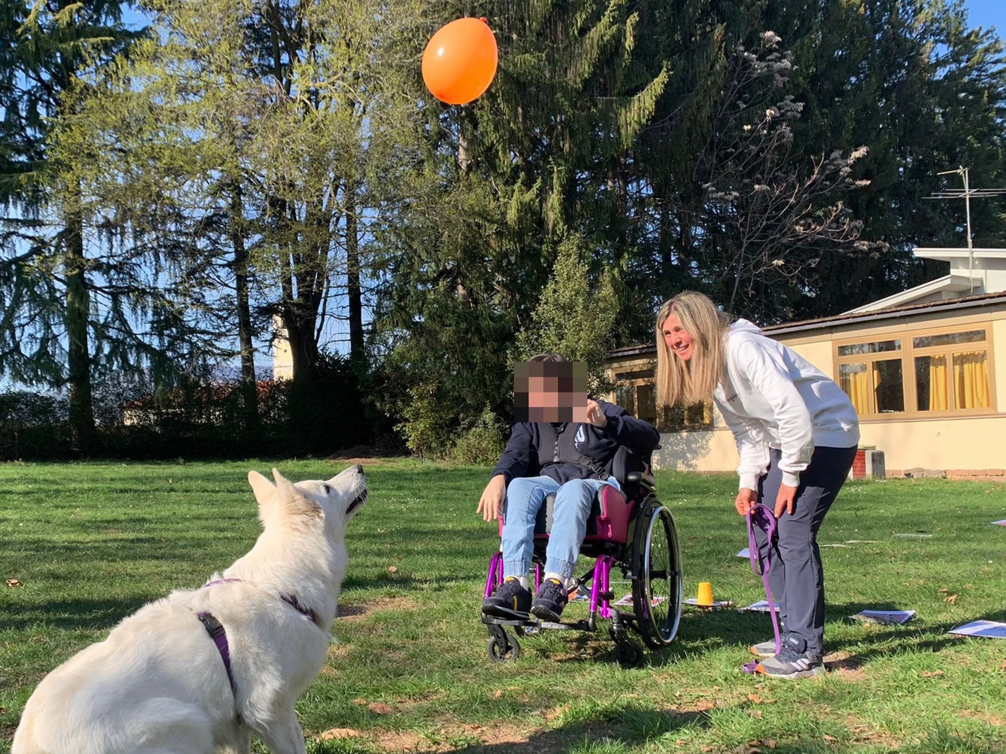 Maggie - Pet Therapy Varese