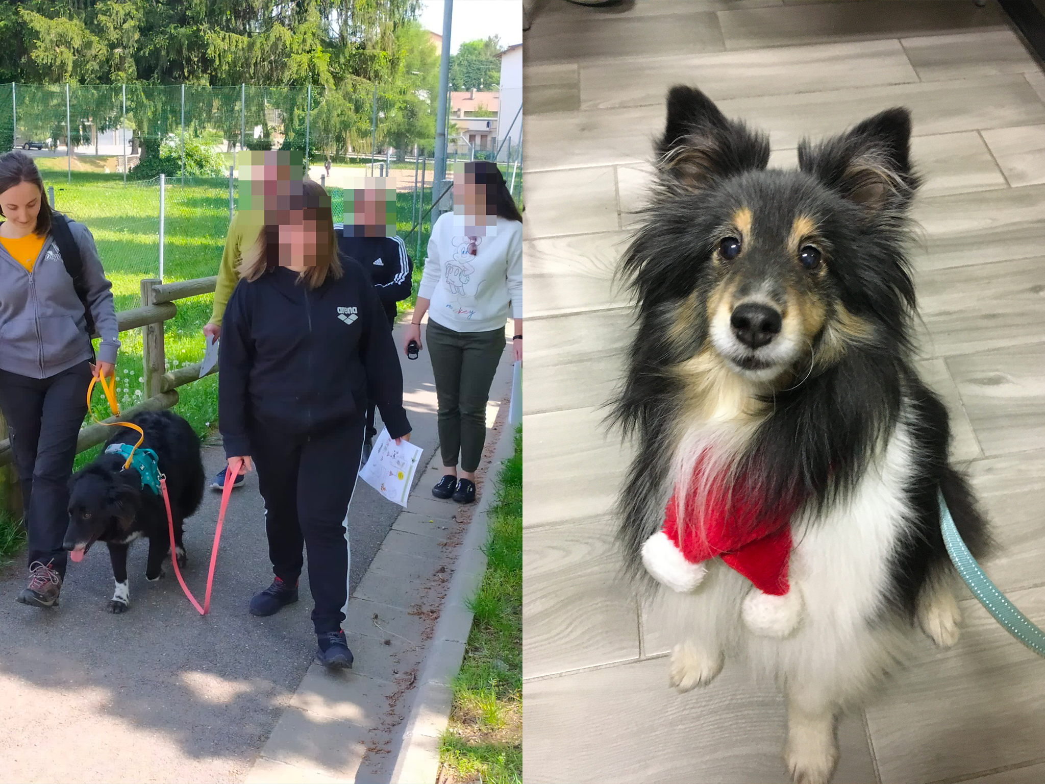 Pet Therapy Varese