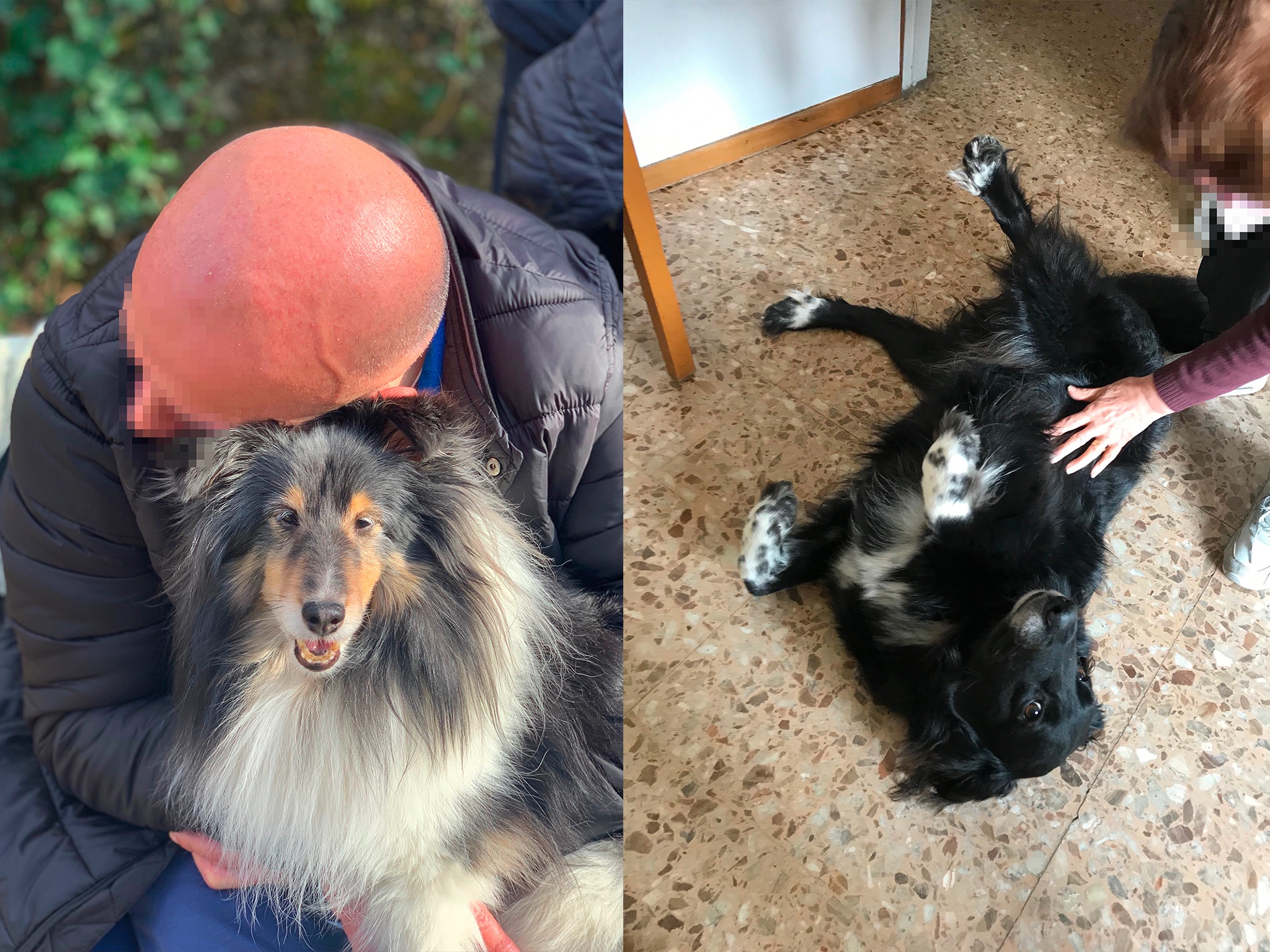 Pet Therapy e Alzaheimer