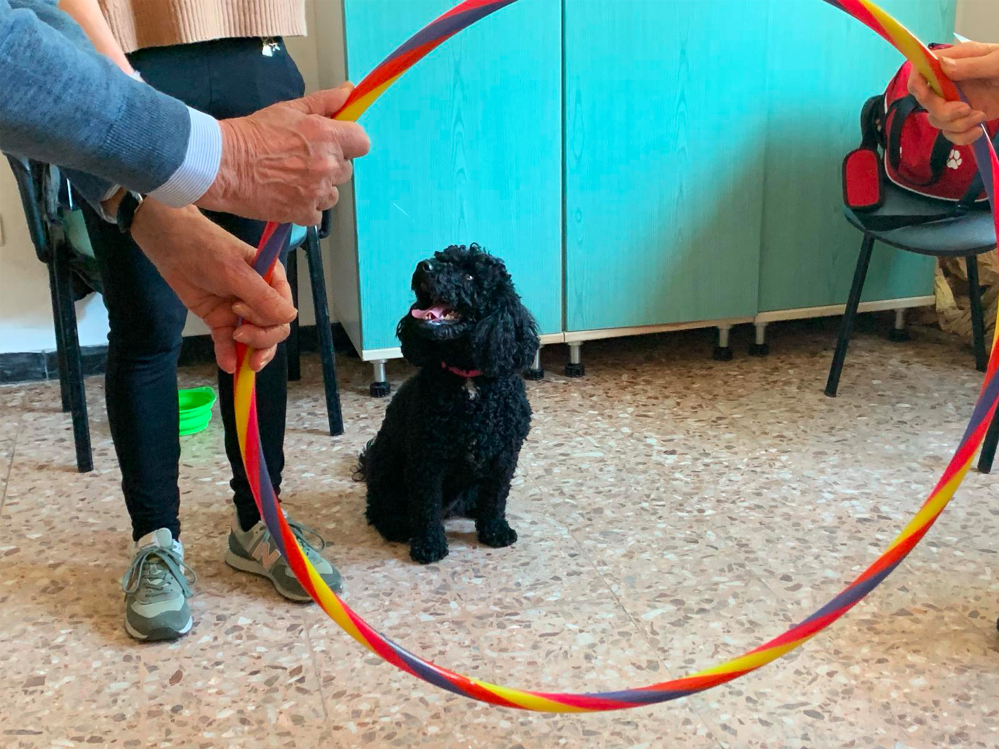 Mora - Pet Therapy Varese